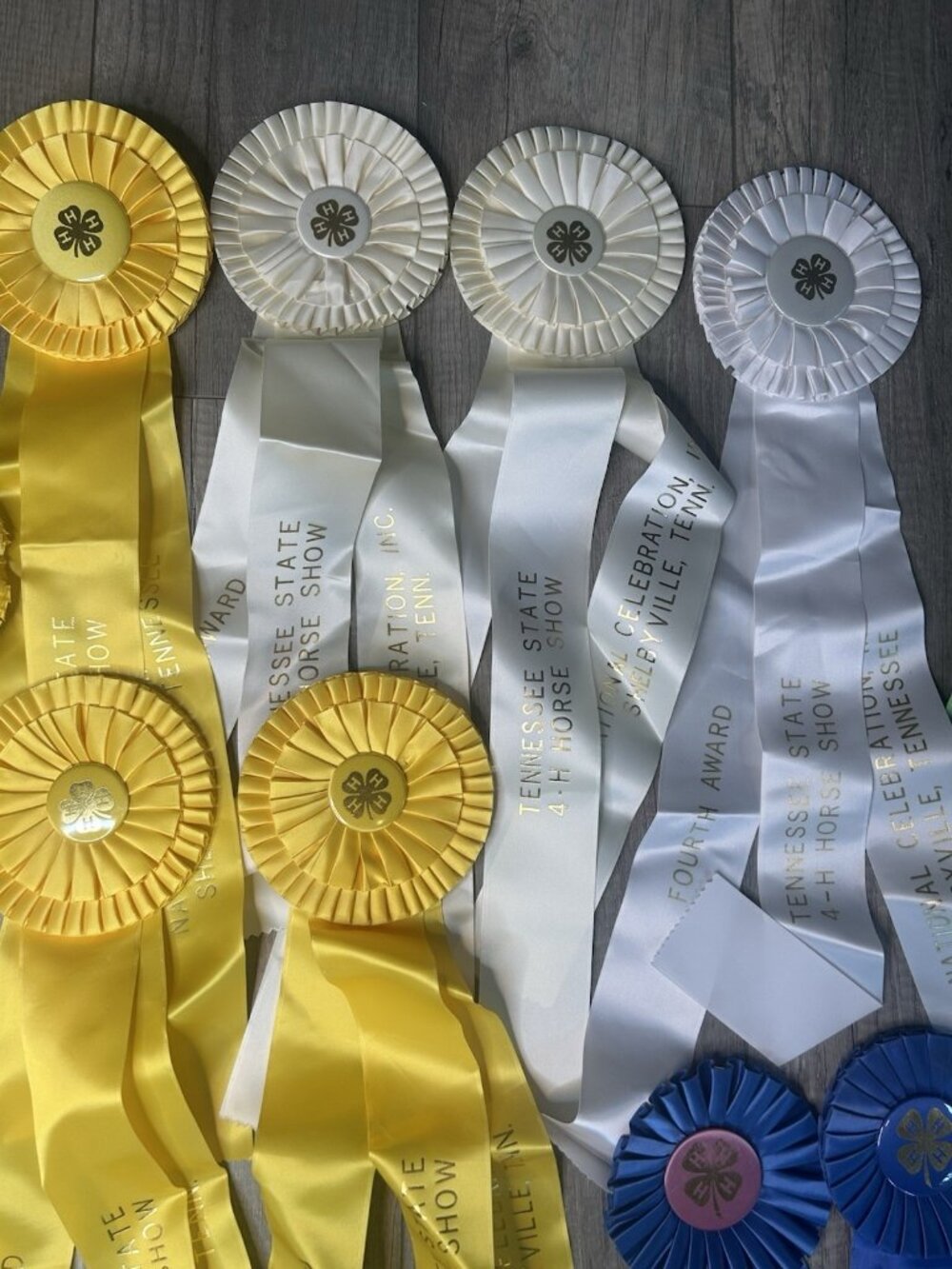 Show Ribbons 4-H Club Rosettes Craft Equestrian Tennessee Shelbyville Lot Of 19 - Picture 6 of 16